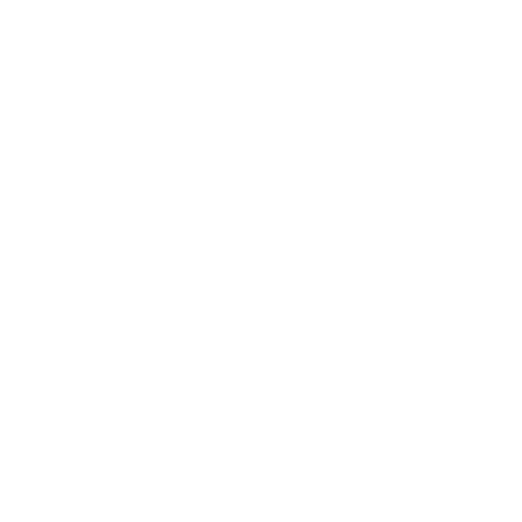 Magazord Partner