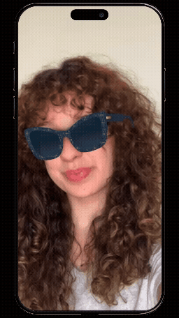Gif 1